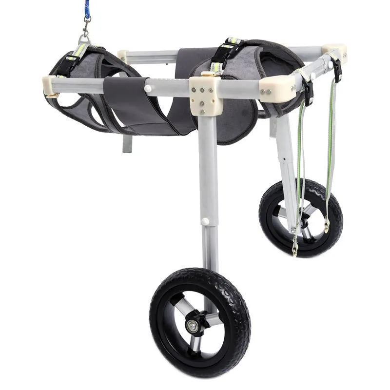 Estne wheelchair pro pets tanti debilitatum?