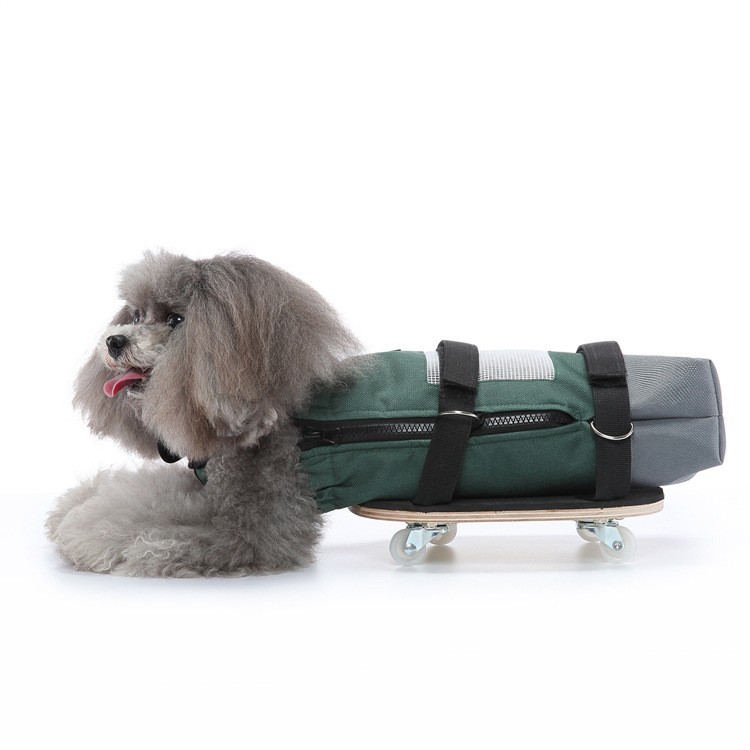 Pet Ambulans Aid Disabled Skateboard