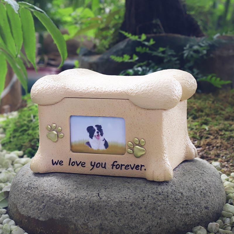 Resina Pet Memorial Urna Cum Picture Frame